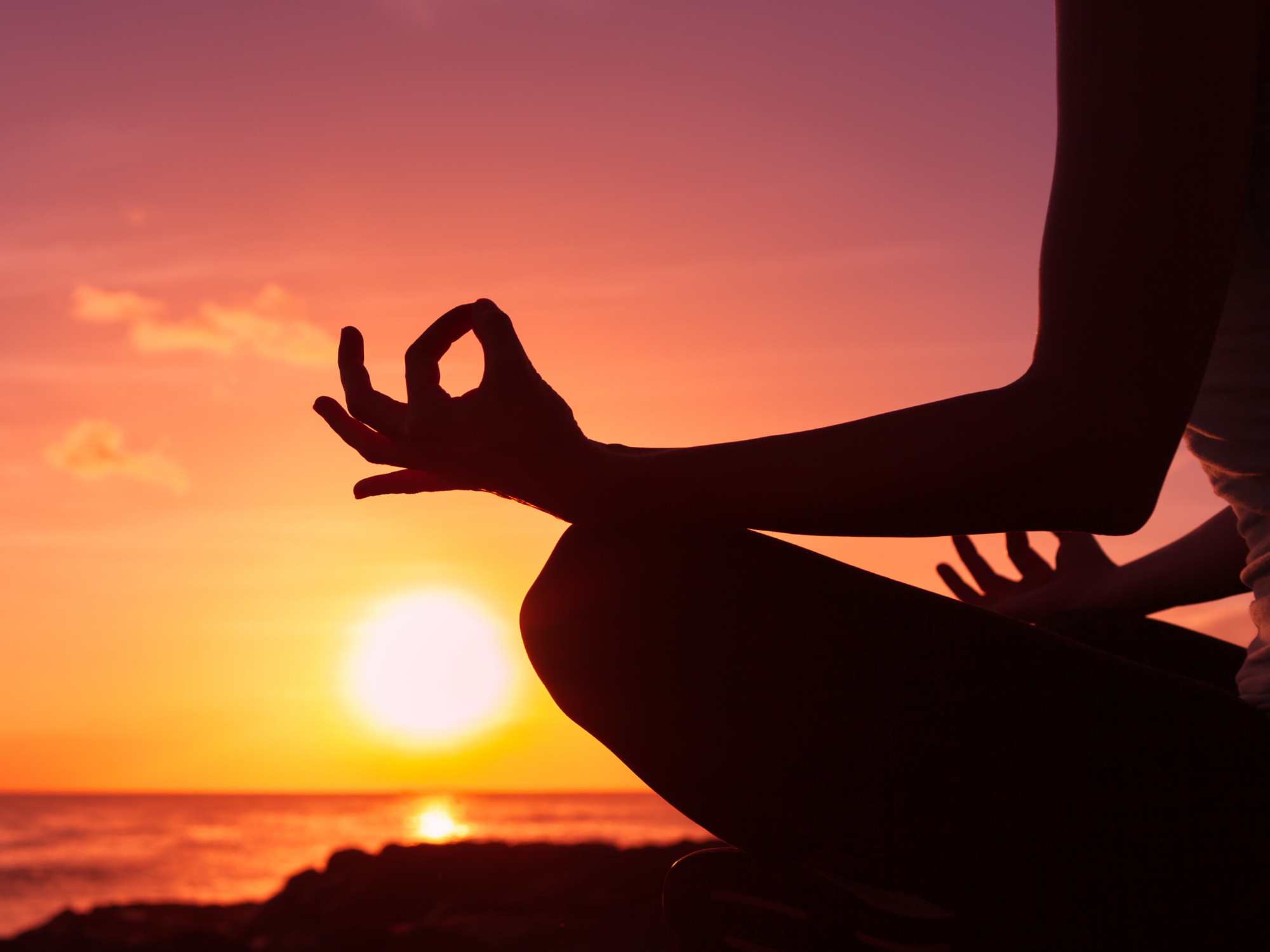 professional-wellness-alliance-holistic-practitioner