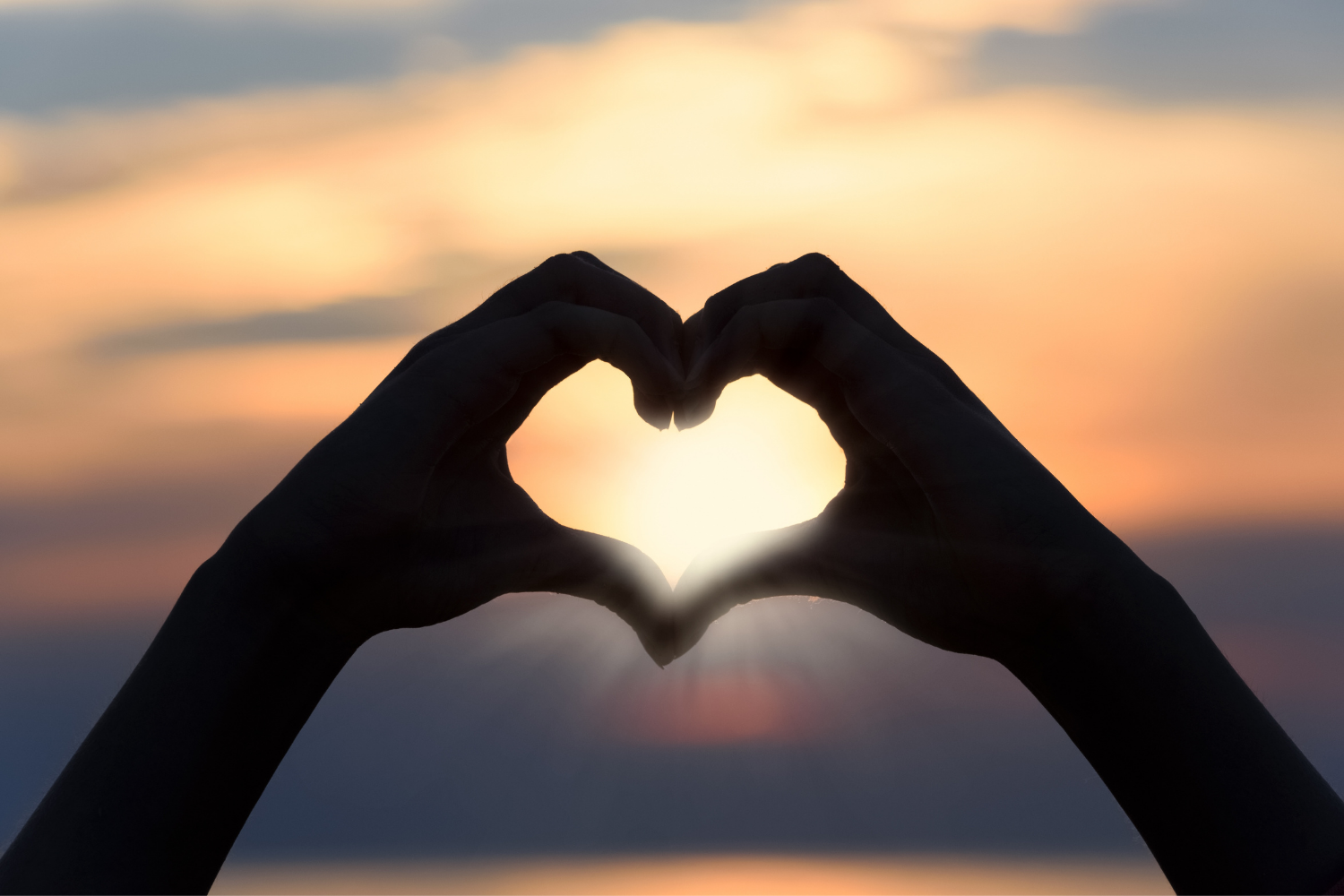 professional-wellness-alliance-holistic-practitioner